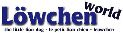 Lowchen World - Photo Archive